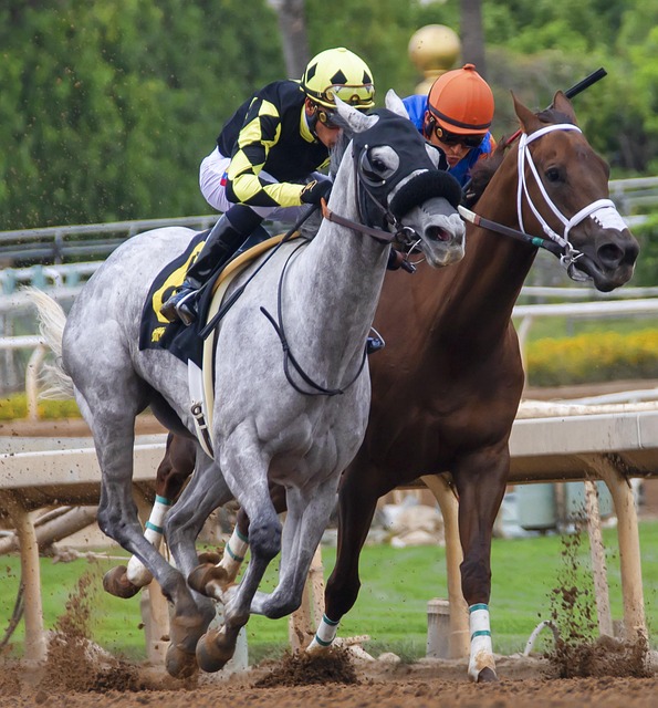 都力求做到 都力求做到