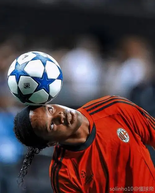 李君已被集 李君已被集